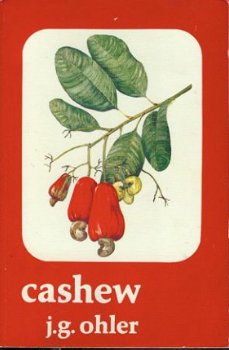 Ohler, JG; Cashew - 1