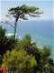 Madeira Eiland - Landhuis te huur (Portugal) - 1 - Thumbnail