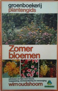 Zomerbloemen, Wim Oudshoorn, - 1