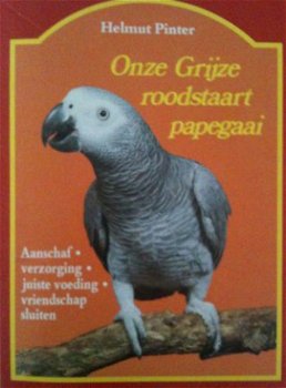 Onze grijze roodstaart papegaai, Helmut Pinter, - 1