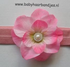 Baby haarbandjes in vele kleurtjes - 1