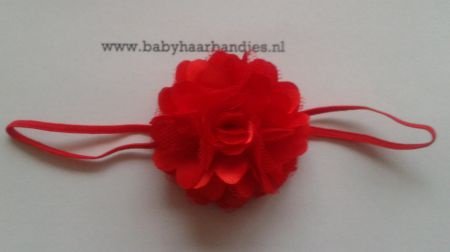 super smalle baby haarbandjes. - 1