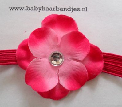 Super smalle baby haarbandjes. - 1