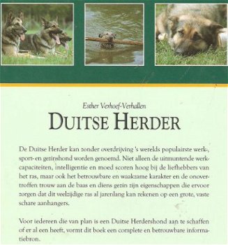 Duitse Herder - 1