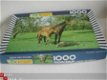 euro puzzel paard en veulen 1000 stukjes 44,5 x 68,5 - 1 - Thumbnail
