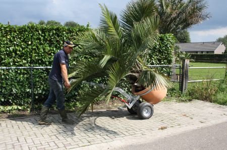 Gemakkelijke verplaatsen van zware potten bomen/ planten - 1