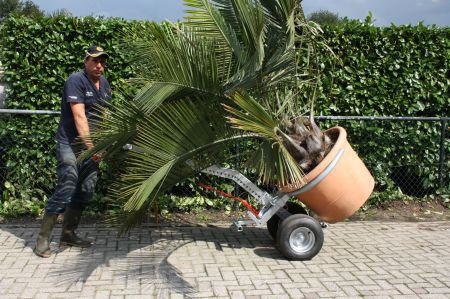 Tranportkar(ren) voor bomen en planten en zware lasten - 1