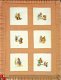 Beatrix Potter - Leaflet The Tale of Benjamin Bunny - 1 - Thumbnail