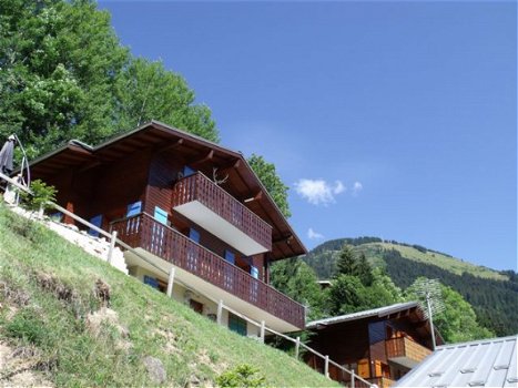 Vakantiechalet in Châtel Portes du Soleil - 1