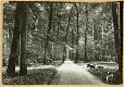 Postkaart, Yvon, Fontainebleau La Foret (713), jaren'50. - 1 - Thumbnail