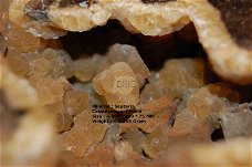 #1 Concretie Septaria Polen met Calciet kristallen