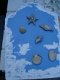 Blauw memobord met 6 originele schelpen magneten (kunststof) - 1 - Thumbnail