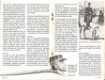 Het Franse Leger - AO boekje nr. 714 - 3 - Thumbnail