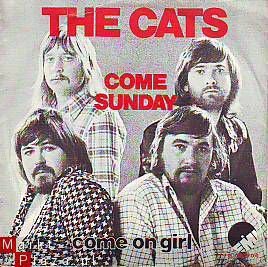 VINYLSINGLE * THE CATS * COME SUNDAY * HOLLAND 7