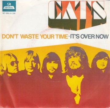 * VINYL SINGLE * THE CATS * DON'T WASTE YOUR TIME * HOLLAND - 1