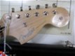 Fender stratocaster Bonnie Raitt Usa made top of the line - 1 - Thumbnail