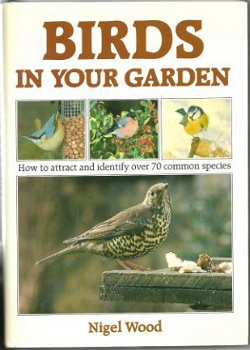 Birds in your garden - 1