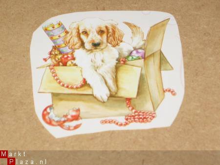 3D plaatjes -- HOND / SPANIEL in een DOOS VOL VERSIERING - 1