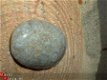 #1 Cabochon Fossiel Koraal Fossil Coral Cabochon - 1 - Thumbnail