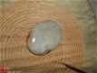 #5 Cabochon Fossiel Koraal; Fossil Coral Cabochon - 1 - Thumbnail