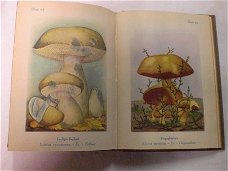 G.D. Swanenburg de Veye Paddenstoelen 1945  Selhorst