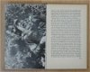 Boek, De Brug over de Kwai / Le pont de la riviere Kwai, Pierre Boulle, derde druk, 1961. - 5 - Thumbnail