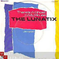 VINYLSINGLE * THE LUNATIX  * THERE'S A GHOST IN MY HOUSE