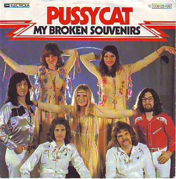 VINYLSINGLE * PUSSYCAT * MY BROKEN SOUVENIRS * GERMANY 7