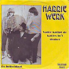 * VINYLSINGLE * HARRY WERK * VADER KNIJPT DE KATJES IN HET