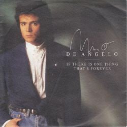 1989 * GERMANY * NINO DE ANGELO * IF THERE IS ONE THING - 1