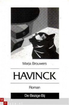 Havinck. Een episode. Roman - 1