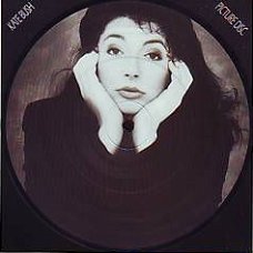 VINYLSINGLE * KATE BUSH * THIS WOMAN'S WORK * PICTUREDISC *