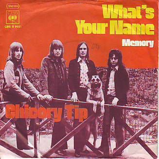 VINYLSINGLE * CHICORY TIP * WHAT'S YOUR NAME * HOLLAND 7