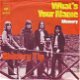 VINYLSINGLE * CHICORY TIP * WHAT'S YOUR NAME * HOLLAND 7