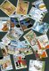 19x stickers Suske en Wiske & WWF - 1 - Thumbnail