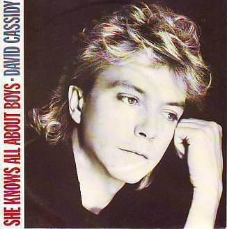 VINYLSINGLE * DAVID CASSIDY * SHE KNOWS ALL ABOUT BOYS * - 1