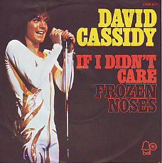 VINYLSINGLE * DAVID CASSIDY * IF I DIDN'T CARE  * GERMANY 7"