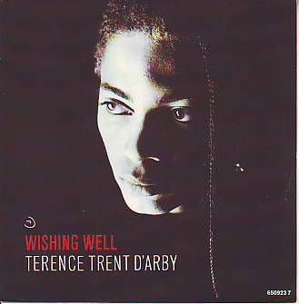 VINYLSINGLE *TERENCE TRENT D'ARBY * WISHING WELL *HOLLAND 7