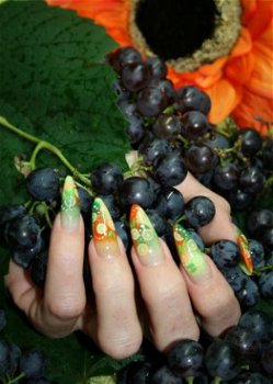 11x Flower nail art gel acryl nail art FIMO butterfly fruit - 1