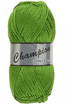 Champion kleurnummer 045 - 1