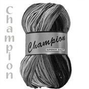 Champion Multi kleurnummer 910 - 2