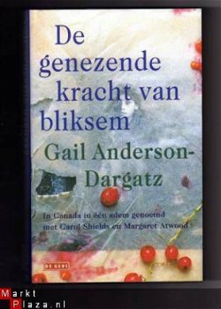 De genezende kracht van bliksem - Gail Anderson - Dargatz - 1