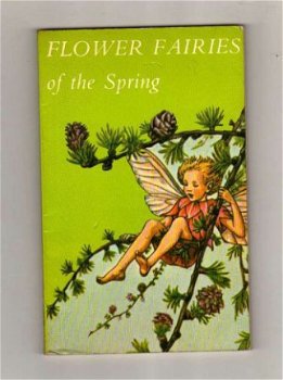 Flower Fairies of the Spring - Cicely Mary Barker - 1