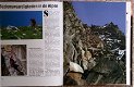 Bergen - Een fascinerende wereld (WWF) - 1 - Thumbnail