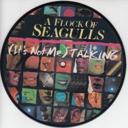 VINYLSINGLE *A FLOCK OF SEAGULLS * TALKING * PICTUREDISC * - 1