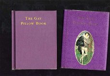 The gay pillow book