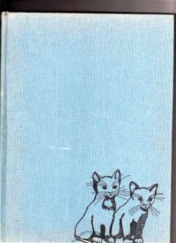 Cats cats cats - John R. Gilbert (Engelstalig) - 1