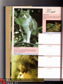 Het katten dagboek - Esther Verhoef - 2