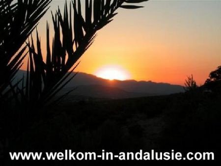 vakantiewoningen in de natuur in andalusie zuid spanje - 1