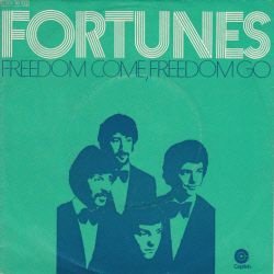 VINYLSINGLE * FORTUNES * FREEDOM COME, FREEDOM GO * GERMANY - 1